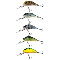 Salmo Hornet Floating Lures